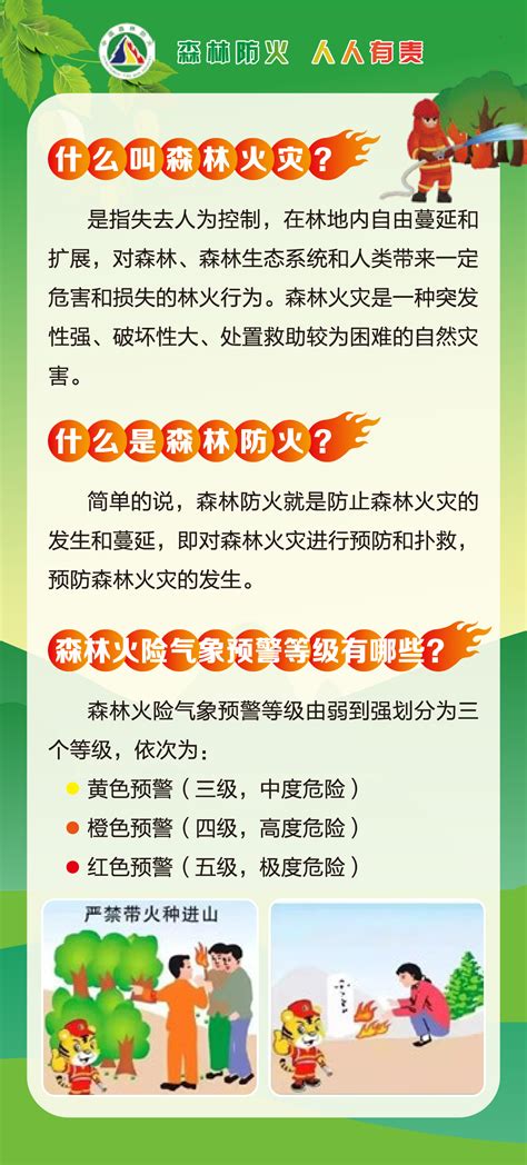 防火于未“燃”！森林防火，人人有责！这些小常识你必须要知道深圳新闻网