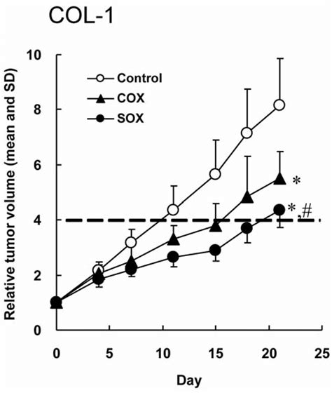 Tumor Volume Changes In A Human Colorectal Cancer Cell Line COL 1 In