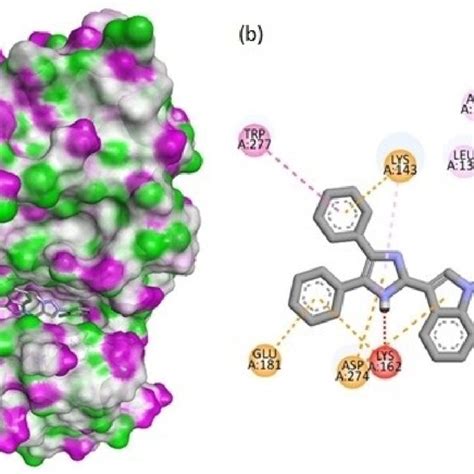 A Docking Pose And B 2d Interactions Of Compound 7 J With Aurora Download Scientific Diagram