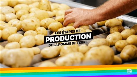 Les Tapes De Production De La Pomme De Terre Apaq W Youtube