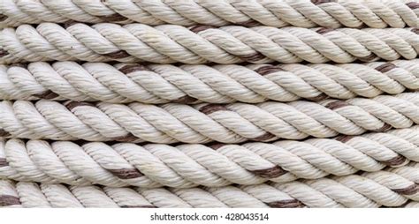 Rope Backgrounds Texturesrope Texturewhite Rope Textures Stock Photo 428043514 | Shutterstock