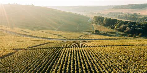 Champagne Cosa Fare E Vedere Nella Regione Di Francia Elle