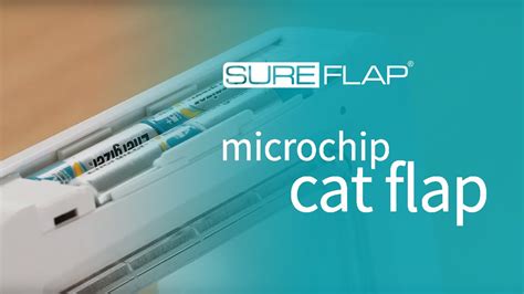 Replacing The Batteries On Your SureFlap Microchip Cat Flap YouTube