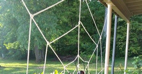 THE REHOMESTEADERS: DIY Giant Spider Web