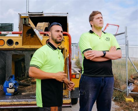 Gold Coast Tree And Stump Removal Jims Trees