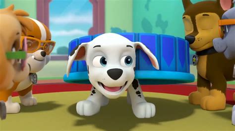 Paw Patrol Marshall S Weekly Wipeouts Season Pups Save A Blimp