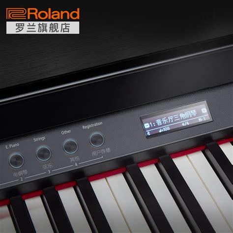 Roland Hp