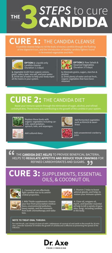 110 Eat Candida Diet Ideas Candida Diet Candida Diet Recipes