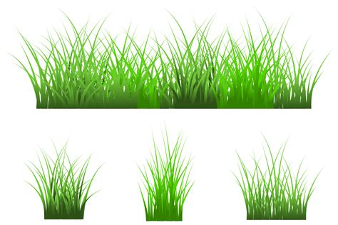 Grass Graphic By Cyudeshbuhu Creative Fabrica