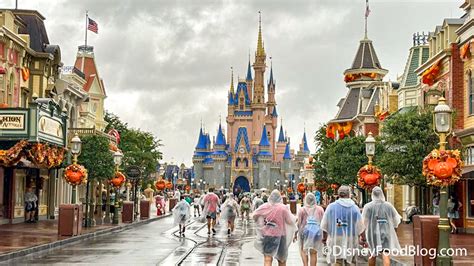 X Essentials You Need To Conquer Hurricane Season In Disney World The