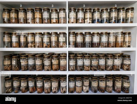 The Pharmacy Museum Paris Stock Photo Alamy