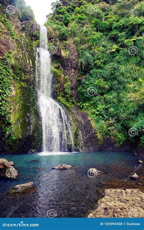 Kitekite Falls in New Zealand. Beautiful View of Amazing Waterfalls in ...