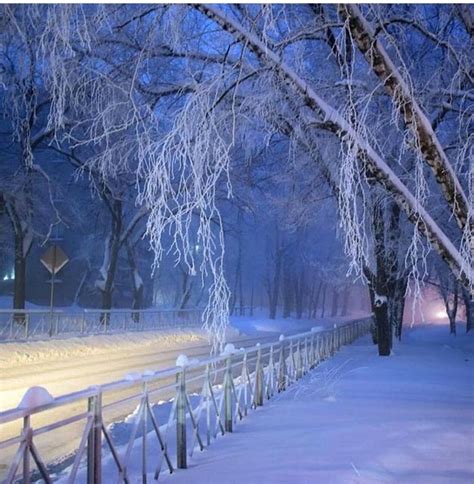 Российская зима, удивляющая европейцев: tanjand — LiveJournal