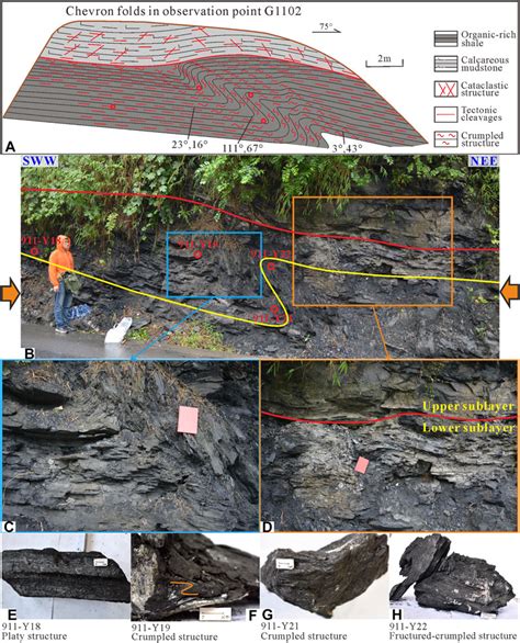 Frontiers Distribution Prediction Of Shale Deformation Structures In