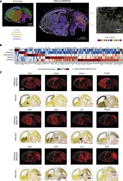 Spatially Resolved Epigenomic Profiling Of Single Cells In Complex