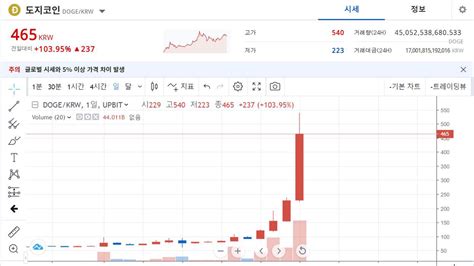 머스크 효과 도지코인 하루 거래대금 17조 원코스피 추월 Sbs 뉴스 인쇄하기