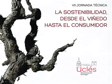 La D O Ucl S Explora Las Pr Cticas Sostenibles En Sus Viii Jornadas