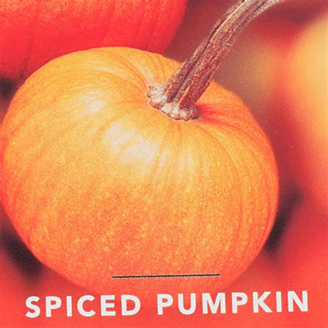 Yankee Candle Spiced Pumpkin Fragranced Wax Melts 6 Count