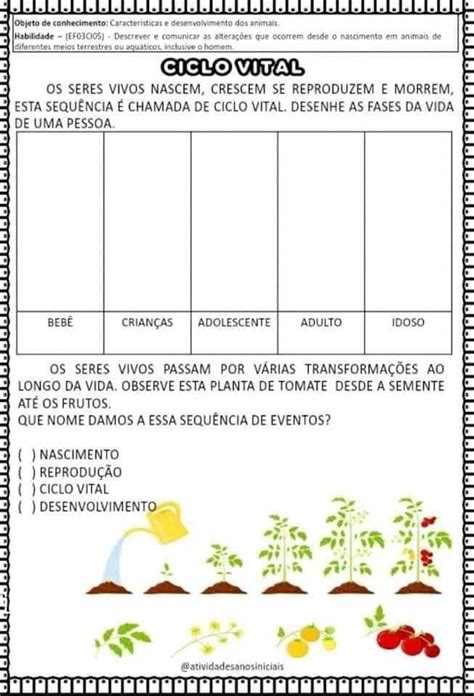 Pin De Márcia Gomes Almeida Em Ciência Ciclo Da Vida Humana Atividades De Ciência Planos De