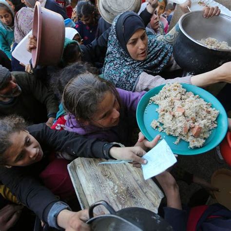 Risco De Fome Generalizada Aumenta Pelo Quinto Ano Consecutivo