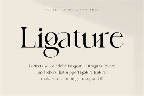 Angle Unique Chic Font By Sensatype On Creativemarket Graphic