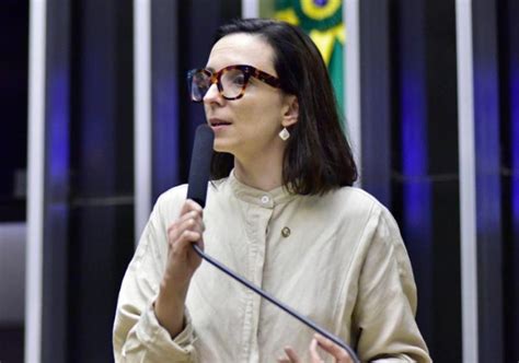 Deputada Ana Pimentel Protocola Projeto Para Incluir Servidores Do Meio