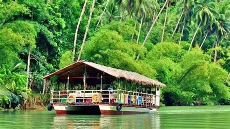 Loboc River Cruise Through Bohol S Scenic Loboc River