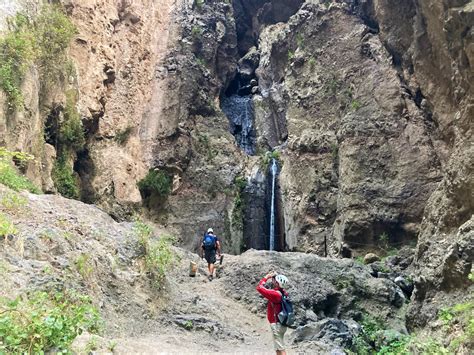 Barranco Del Infierno Birdingplaces