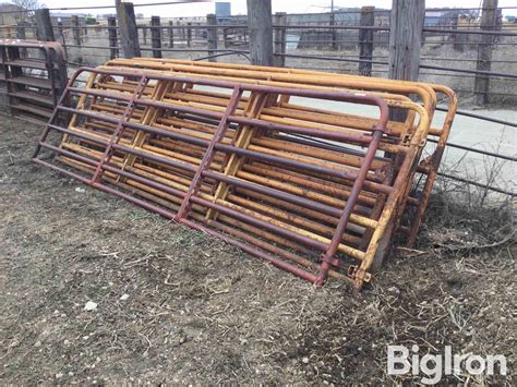 Livestock Gates BigIron Auctions