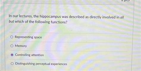 Solved In our lectures, the hippocampus was described as | Chegg.com 