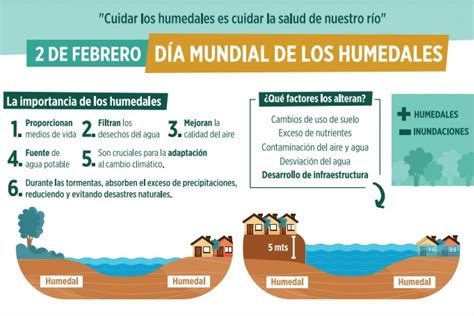 Cuidar Los Humedales Es Cuidar La Salud De Nuestro R O Municipalidad