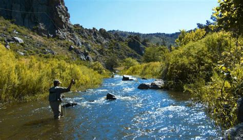 [DIY] Guide to Fly Fishing the Cache La Poudre River in Colorado