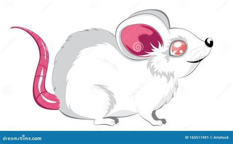 Cartoon White Rat Stock Vector Illustration Of Graphic 165517491