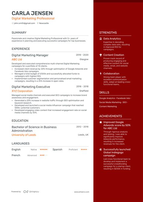 Digital Marketing Cv Examples For