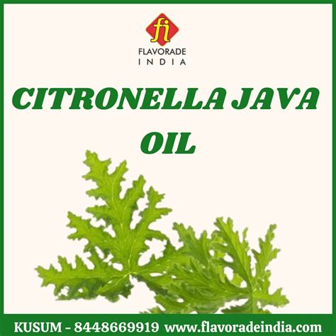 Citronella Java Oil At Best Price In New Delhi By Shakti Trading Co