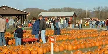 2024 Ellicottville Fall Festival - Ellicottville, NY