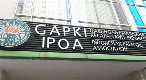 Gapki Produksi CPO Dan PKO Naik 12 4 Pada Mei 2023 Iconomics