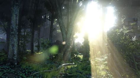 Fondos De Pantalla Luz De Sol Bosque Videojuegos Naturaleza Verde