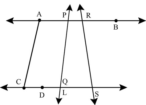 SOLVED In The Figure Name The Following I Five Line Segmentsii Self