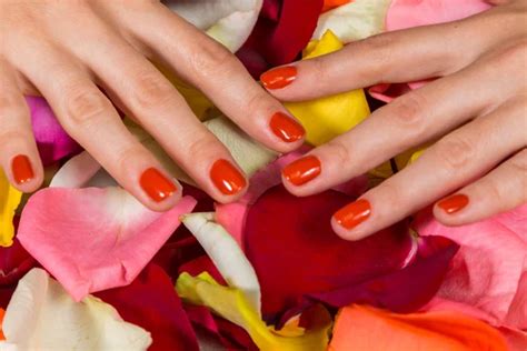 Woman S Hands With Red Nail Polish Stock Image Everypixel