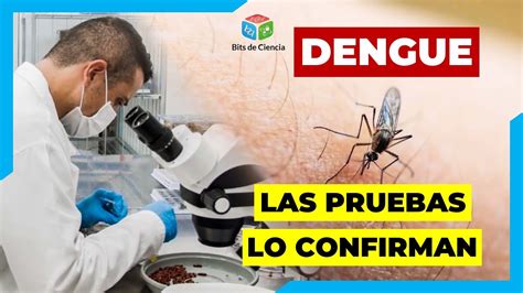 Las Pruebas De Diagn Stico Para Detectar Al Virus Del Dengue Youtube