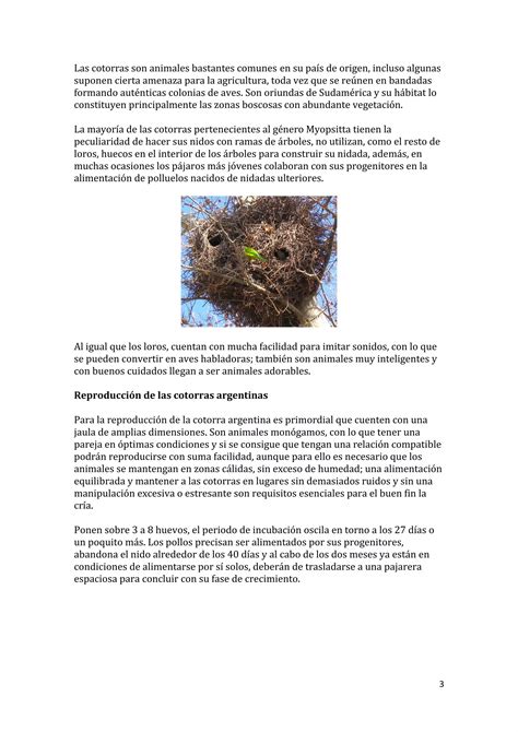 Cotorras Argentinas PDF