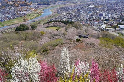 【2023年版】死ぬまでに行きたい宮城県の絶景15選｜異世界ひとり旅