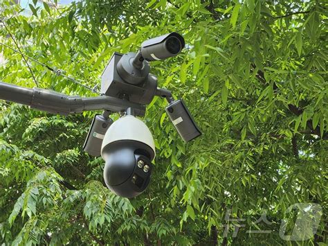 양천구 공원·등산로 40곳에 인공지능 Cctv 152대 설치 뉴스1