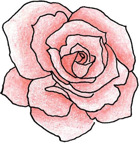 Simple Rose Outlines Clipart Best