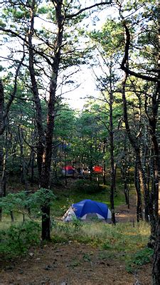 Cape Cod camping tentsites 225x400 - North of Highland Camping Area