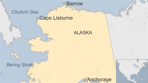 Alaska Walrus Deaths Criminal Investigation Launched Bbc News