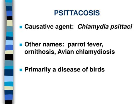 PPT - PSITTACOSIS PowerPoint Presentation, free download - ID:61507