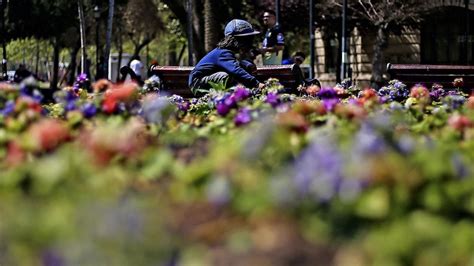 Cuándo empieza la primavera en Chile TVN