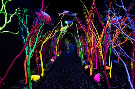 House Of Eternal Return Get Tickets Meow Wolf Santa Fe